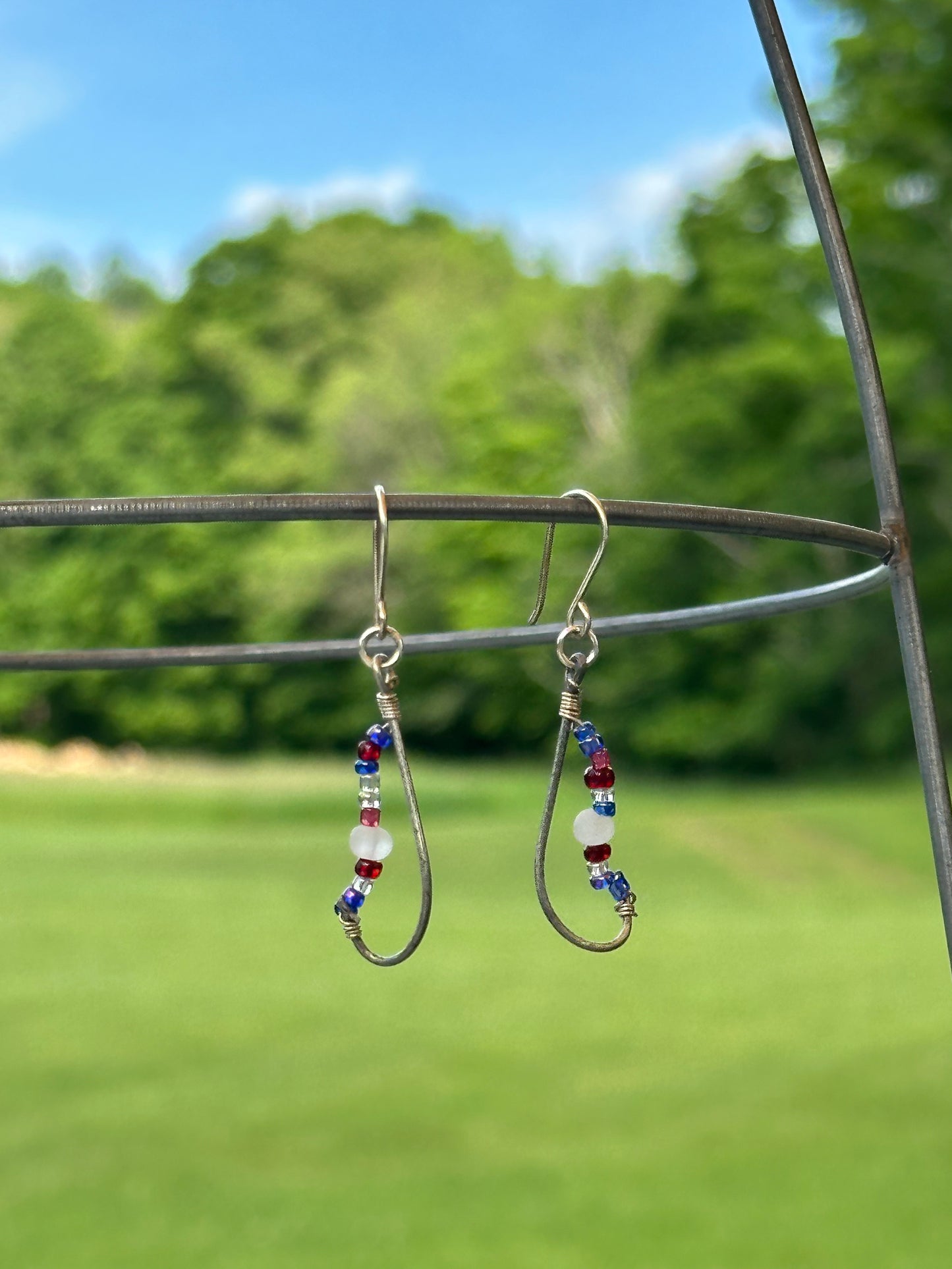 Fish Hook Earrings (patriot)